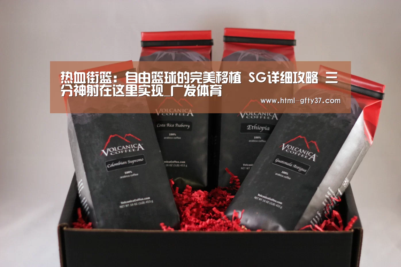 广发体育官网